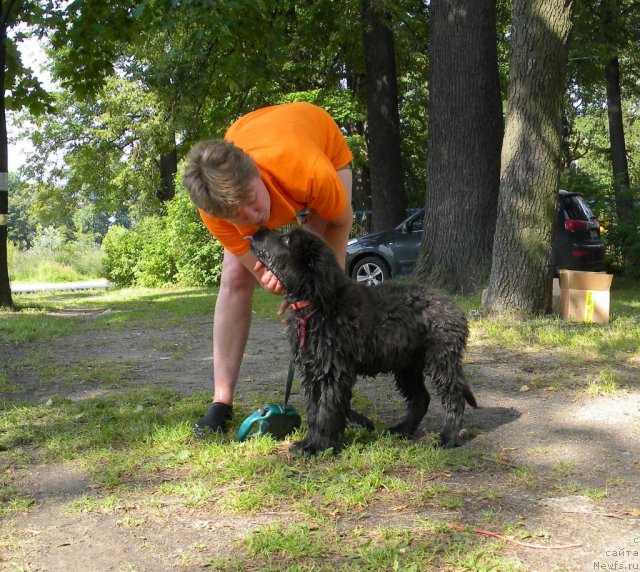 Фотография № 103150