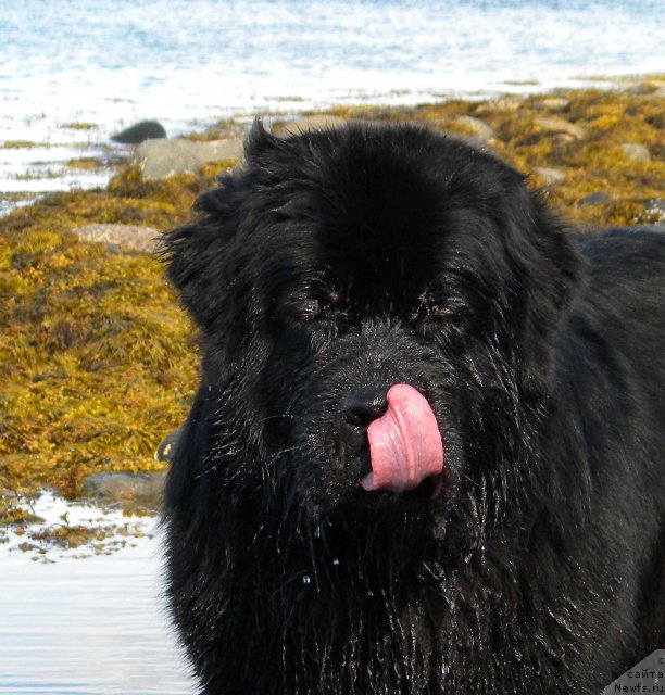 Фотография № 103154