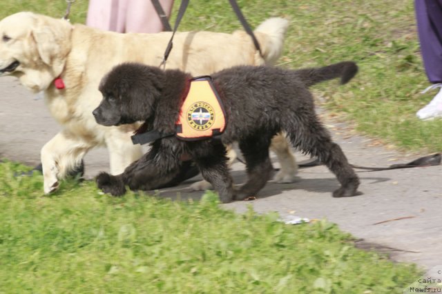 Фотография № 103157