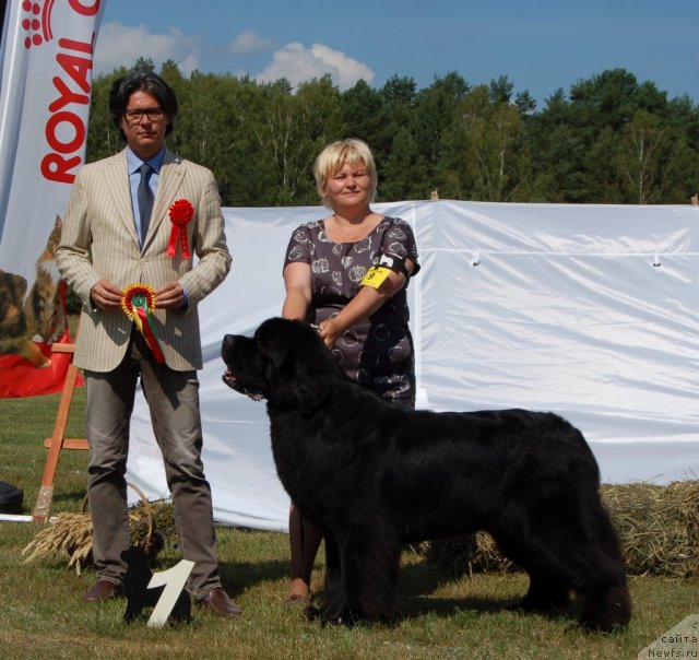 Фотография № 103183