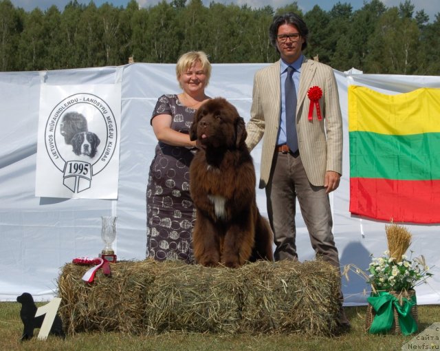 Фотография № 103186