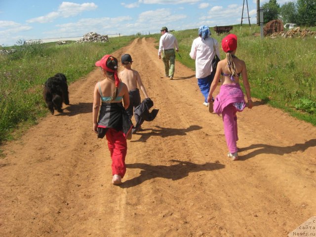 Фото: ньюфаундленд Александрия Моя Радость