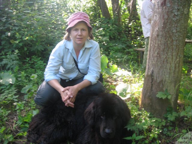 Фото: ньюфаундленд Александрия Моя Радость, Ольга Будина