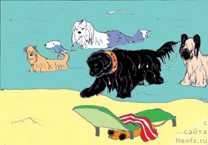 Фотография № 10321