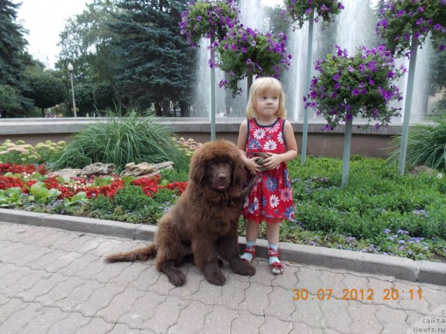 Фотография № 103245