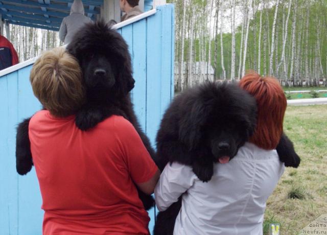 Фотография № 10325