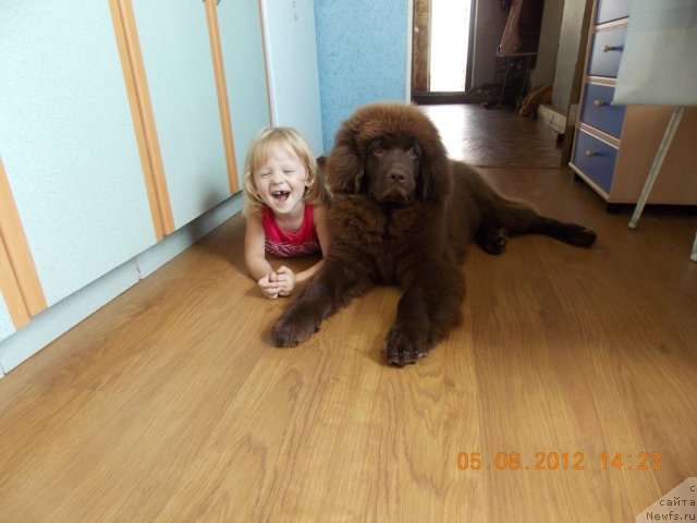 Фотография № 103261