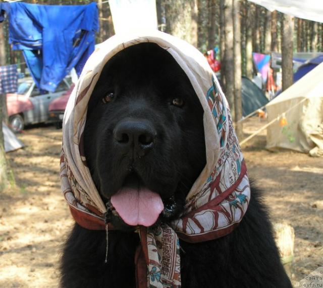 Фотография № 10328