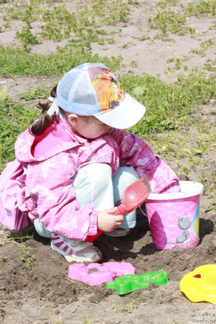 Фотография № 103293