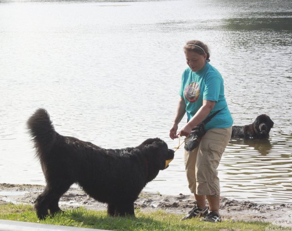 Фото: Анна Ковалёва