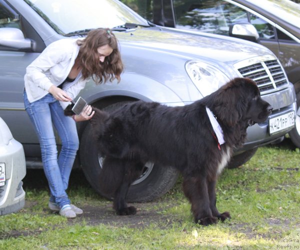 Фотография № 103305