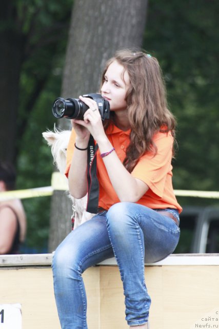 Фотография № 103310