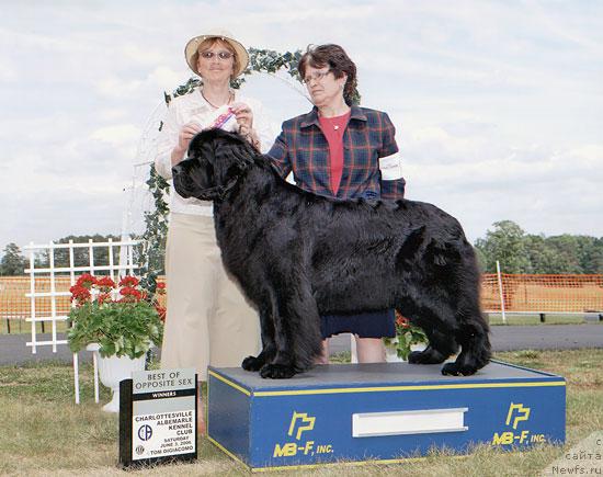 Фото: ньюфаундленд Spillways Heads Up Pouch Cove