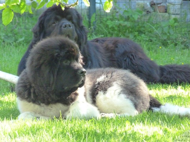 Фотография № 103401