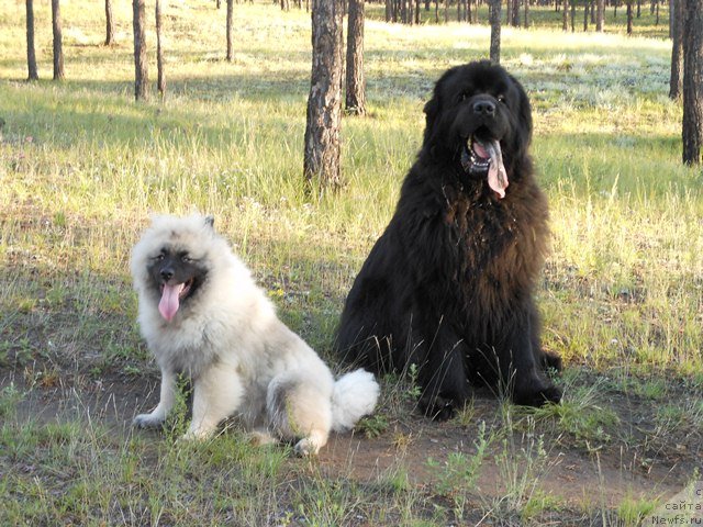 Фотография № 103475