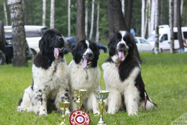 Фотография № 103493