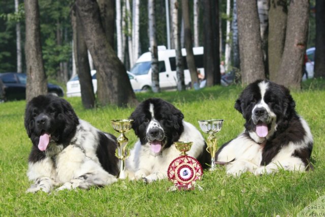 Фотография № 103494