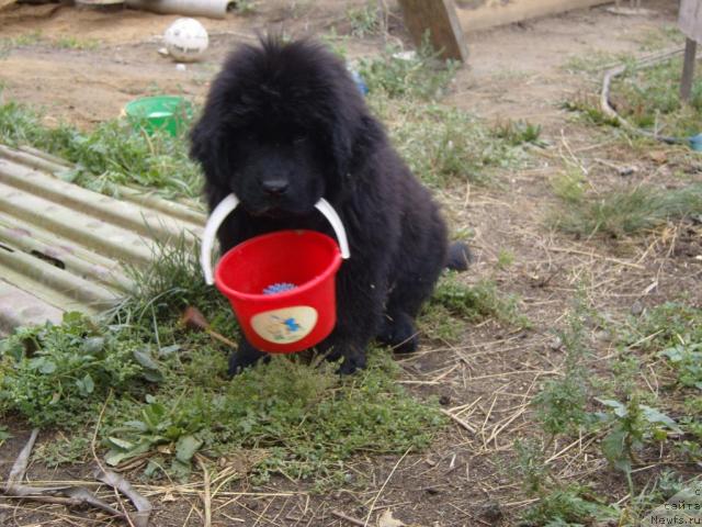 Фотография № 10354