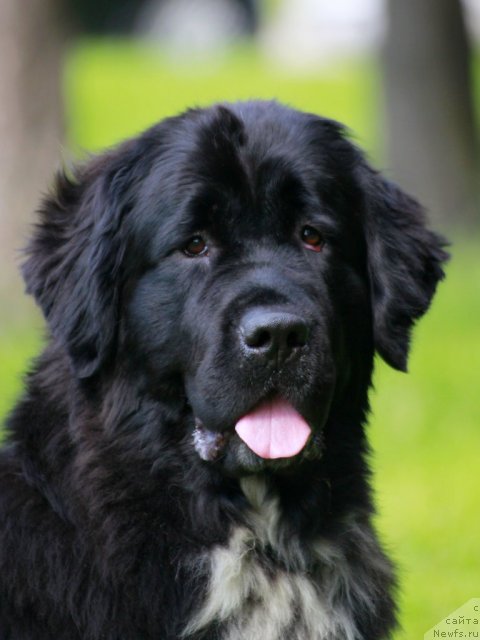 Фотография № 103556