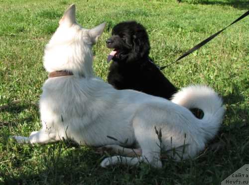 Фотография № 103570