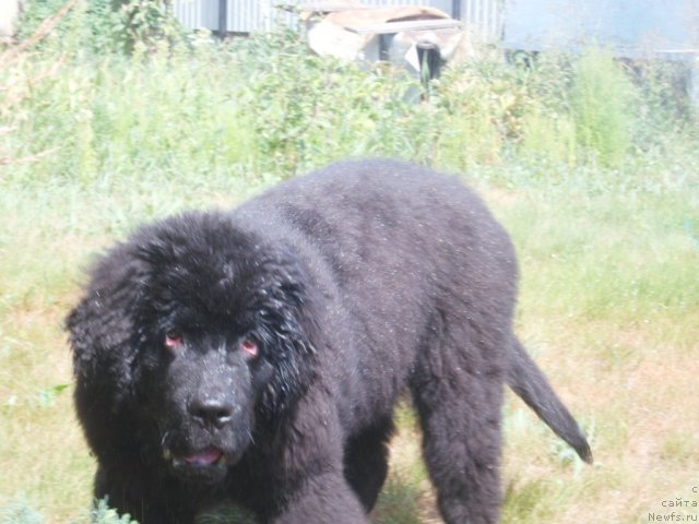 Фото: Валерия Климович