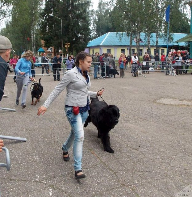 Фотография № 103610