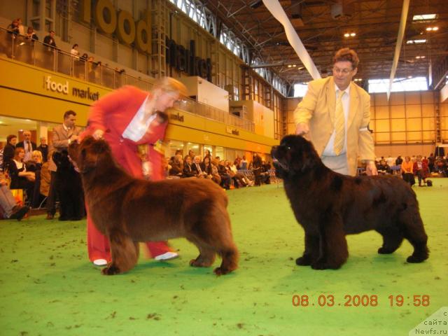 Фотография № 10373