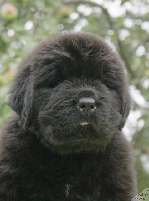 Фотография № 103746