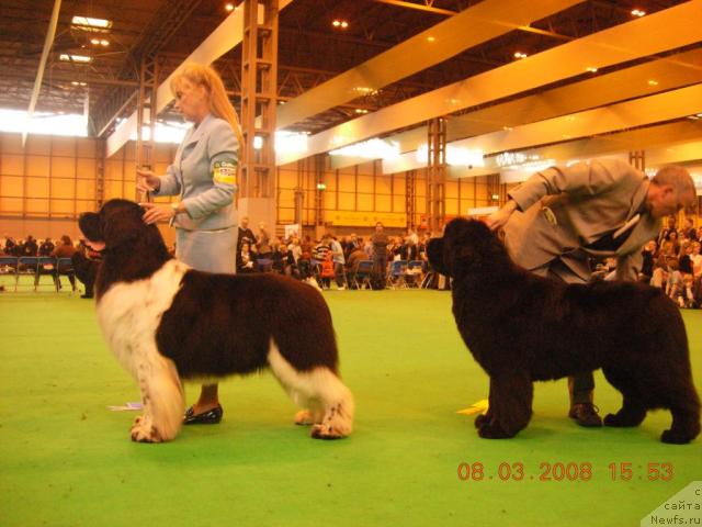 Фотография № 10375