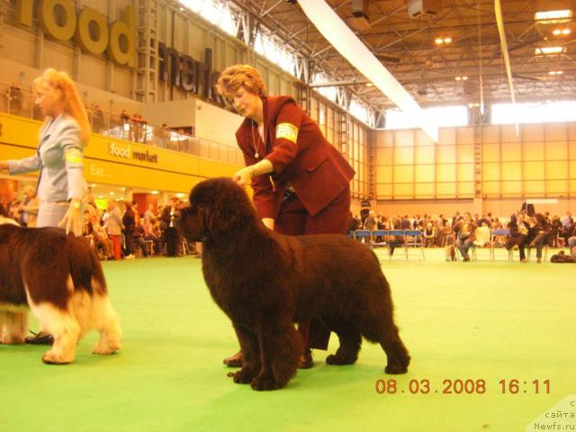 Фотография № 10377