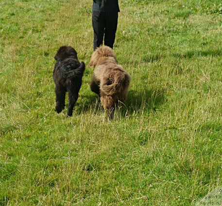 Фотография № 103847