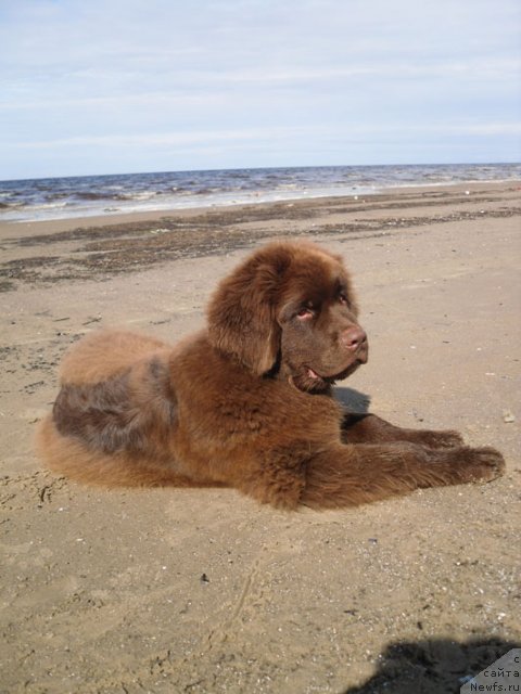 Фотография № 103855