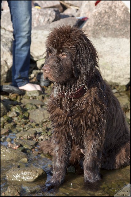 Фотография № 103856