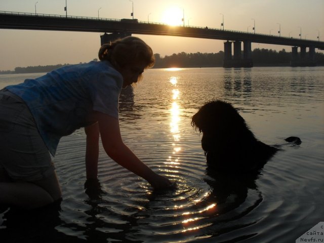 Фотография № 103878