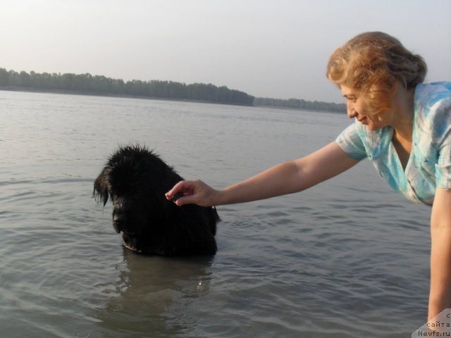 Фотография № 103881