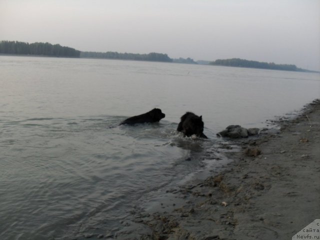 Фотография № 103884