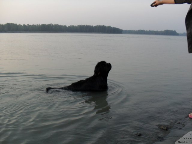 Фотография № 103885