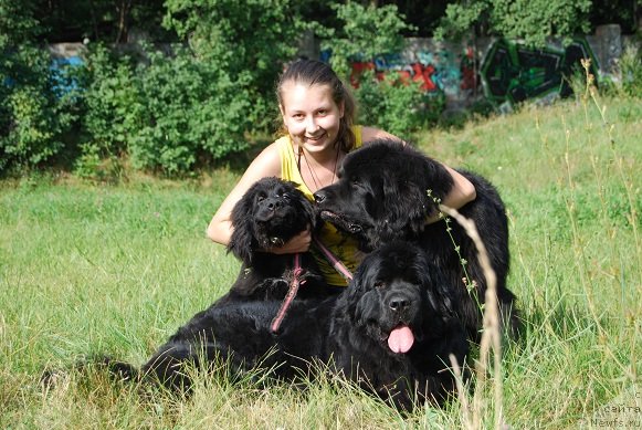 Фотография № 103892