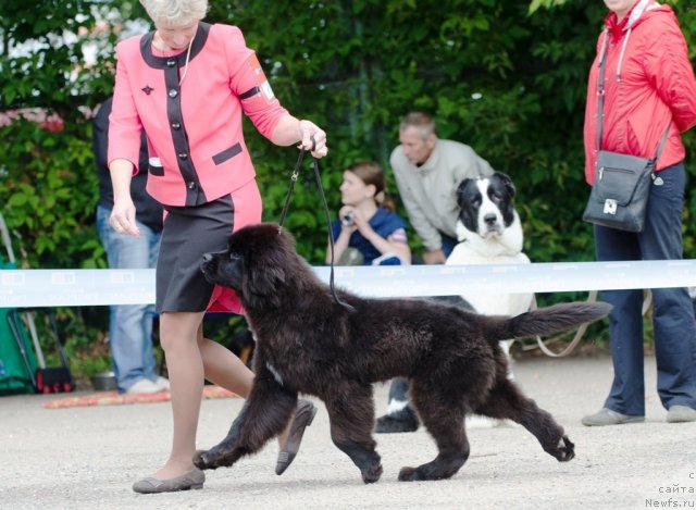 Фото: SENT DJONS YASON