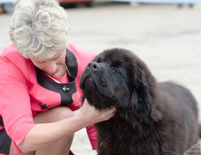 Фото: SENT DJONS YASON