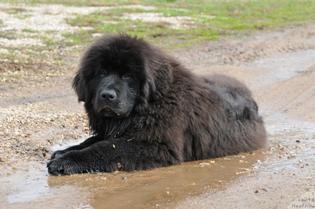 Фотография № 103897