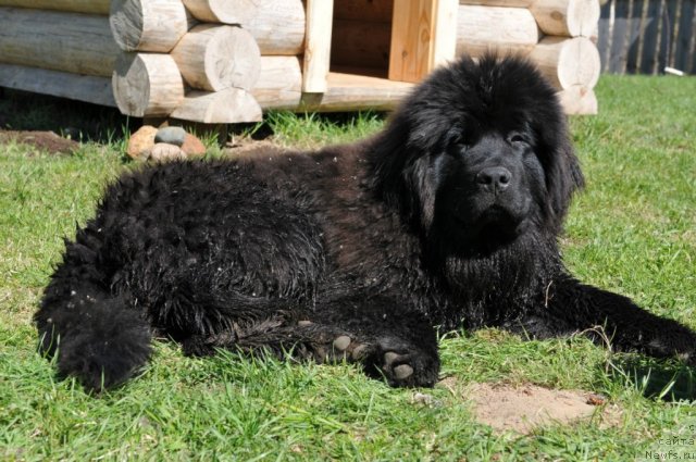 Фотография № 103899