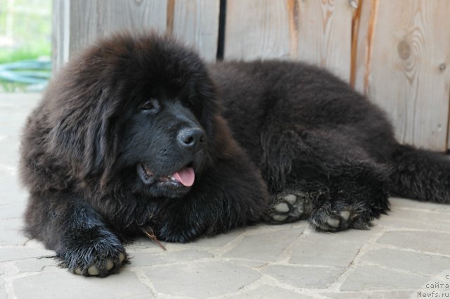 Фотография № 103901