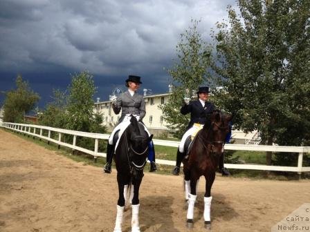 Фотография № 103941