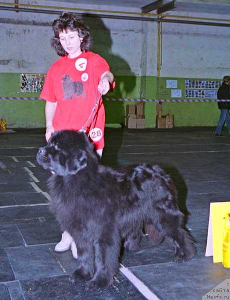 Фотография № 10397