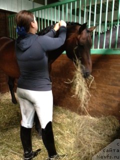 Фотография № 104061