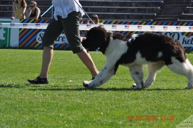 Фотография № 104065