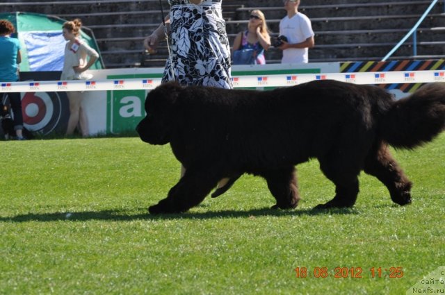 Фотография № 104066