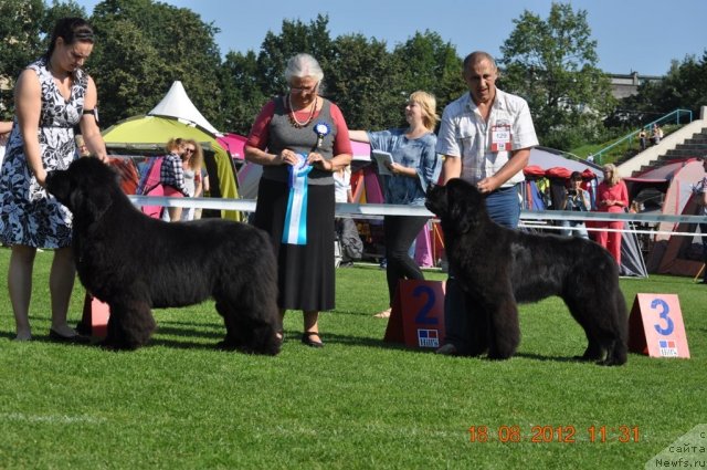 Фотография № 104072