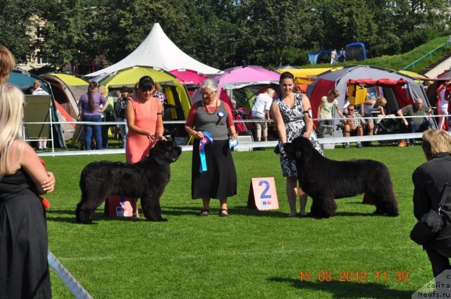 Фотография № 104076